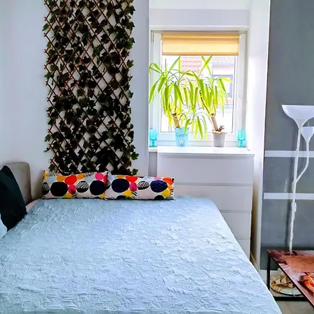 Studio Bossanova Bezplatny, Prywatny Parking Balkon Netflix 比得哥什