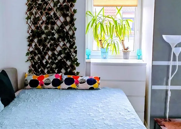 Studio Bossanova Bezplatny, Prywatny Parking Balkon Netflix 比得哥什